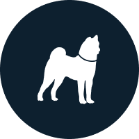 犬