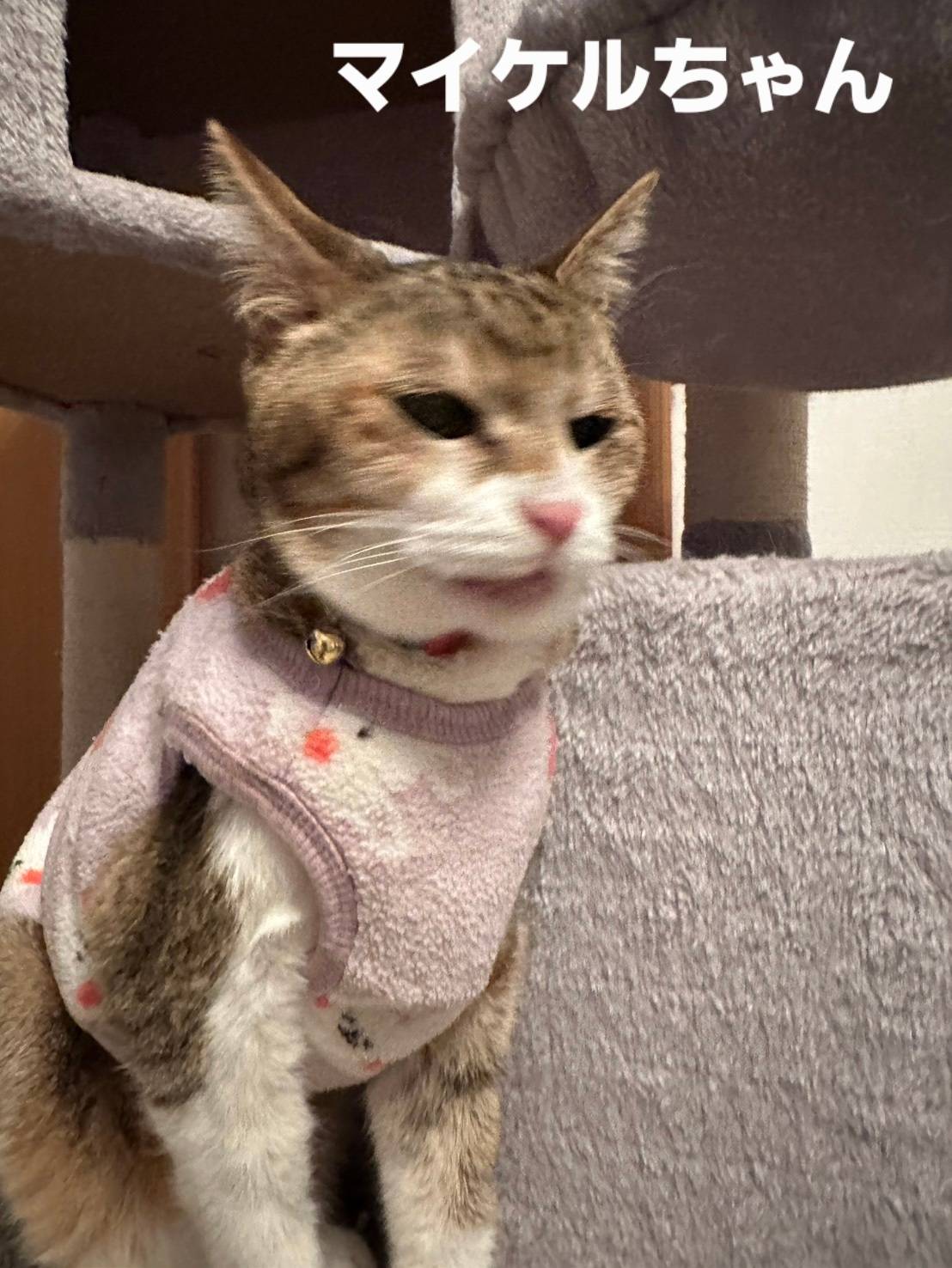 マイケルちゃん 女の子